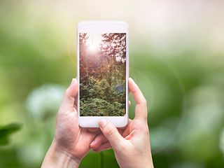 Image of a forest shown on smartphone screen.